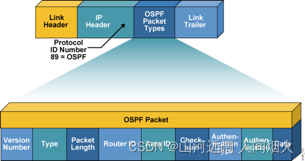 OSPF --- open shortest priority path protocol