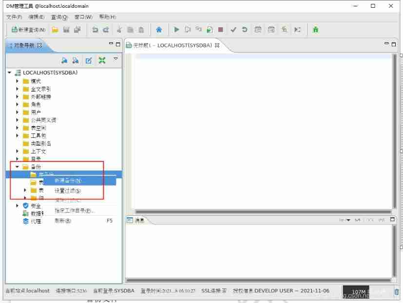 Dameng database backup and restore