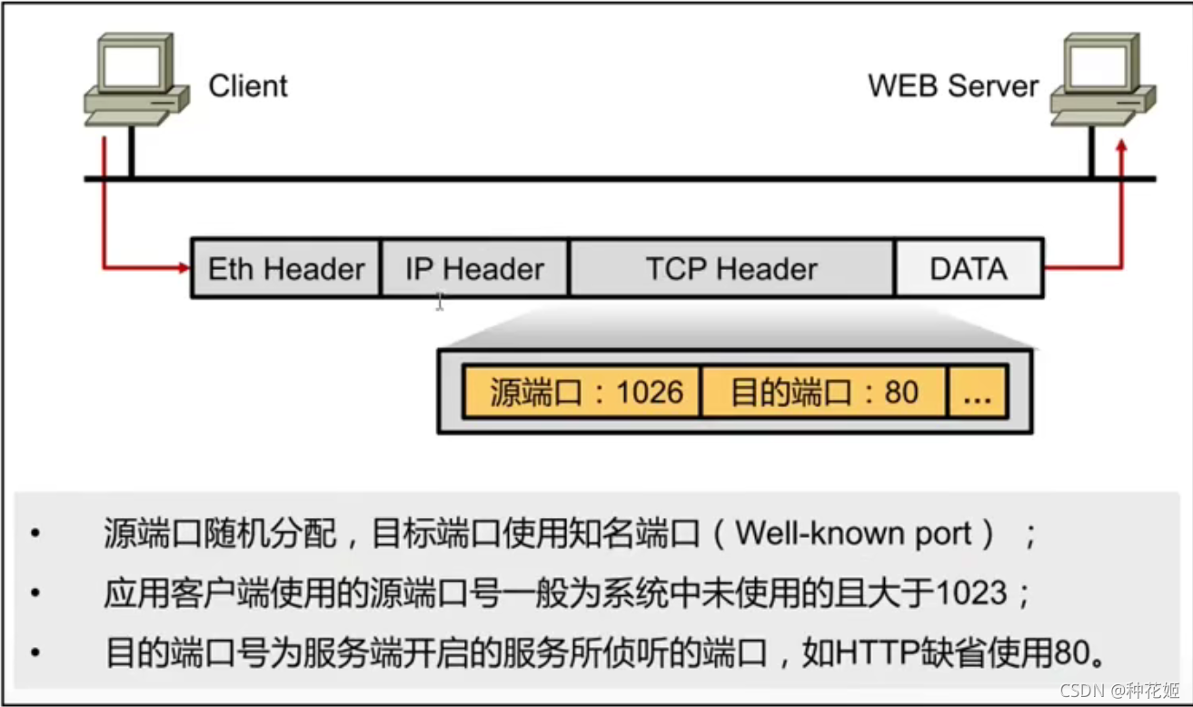 Tcp/ip - transport layer