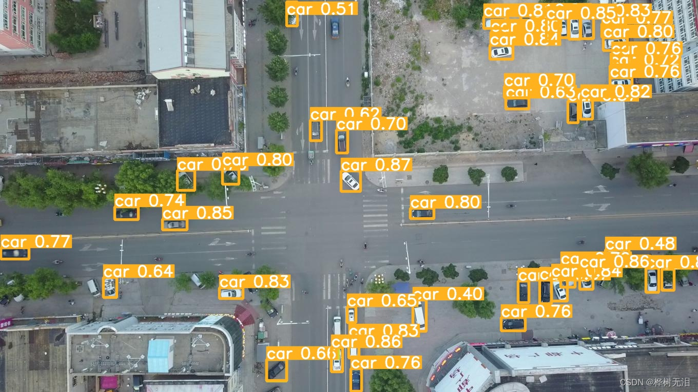 Project (5) - Small target detection tph-yolov5