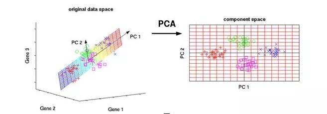 30 minutes to understand PCA principal component analysis