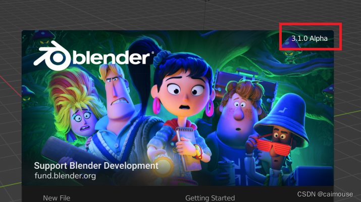 (14) The software version number is displayed in the flash window of blender source code analysis