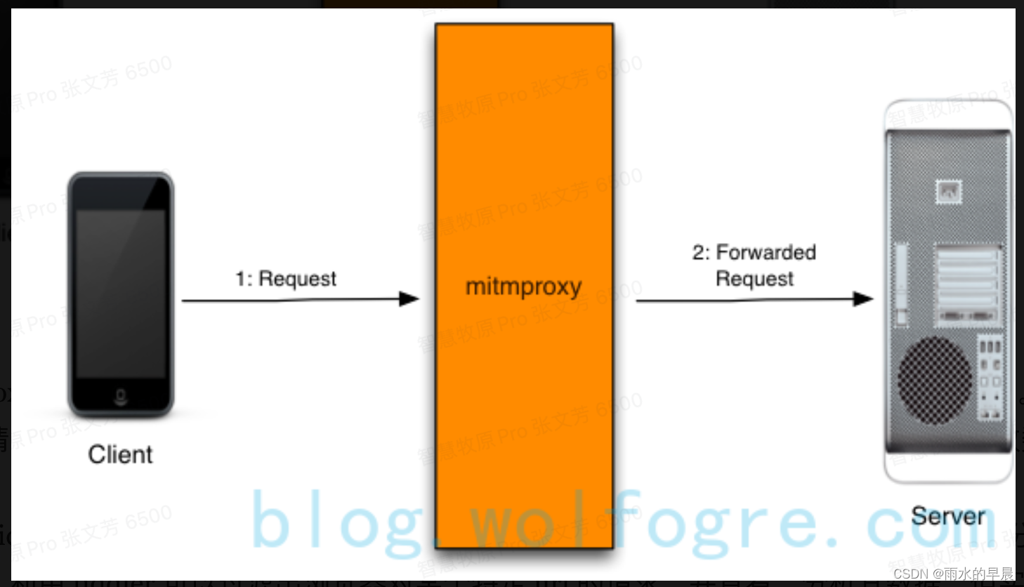 如何使用MITMPROXy