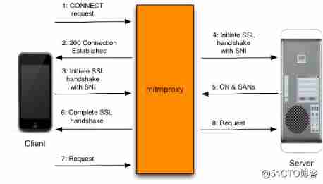 Learn from scratch mitmproxy Caught tools _python_07
