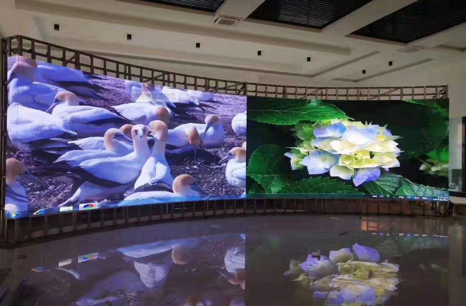  indoor led display 