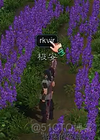 Game safety call CALL analysis - Write code _ Inline assembly _27