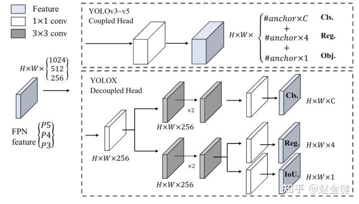 The head module of the yolo series