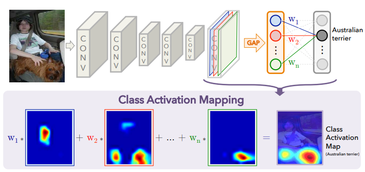 CNN visualization technology -- detailed explanation of cam & grad cam and concise implementation of pytorch