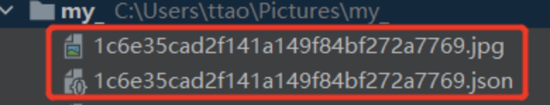 手把手教学Yolov7的搭建及实践