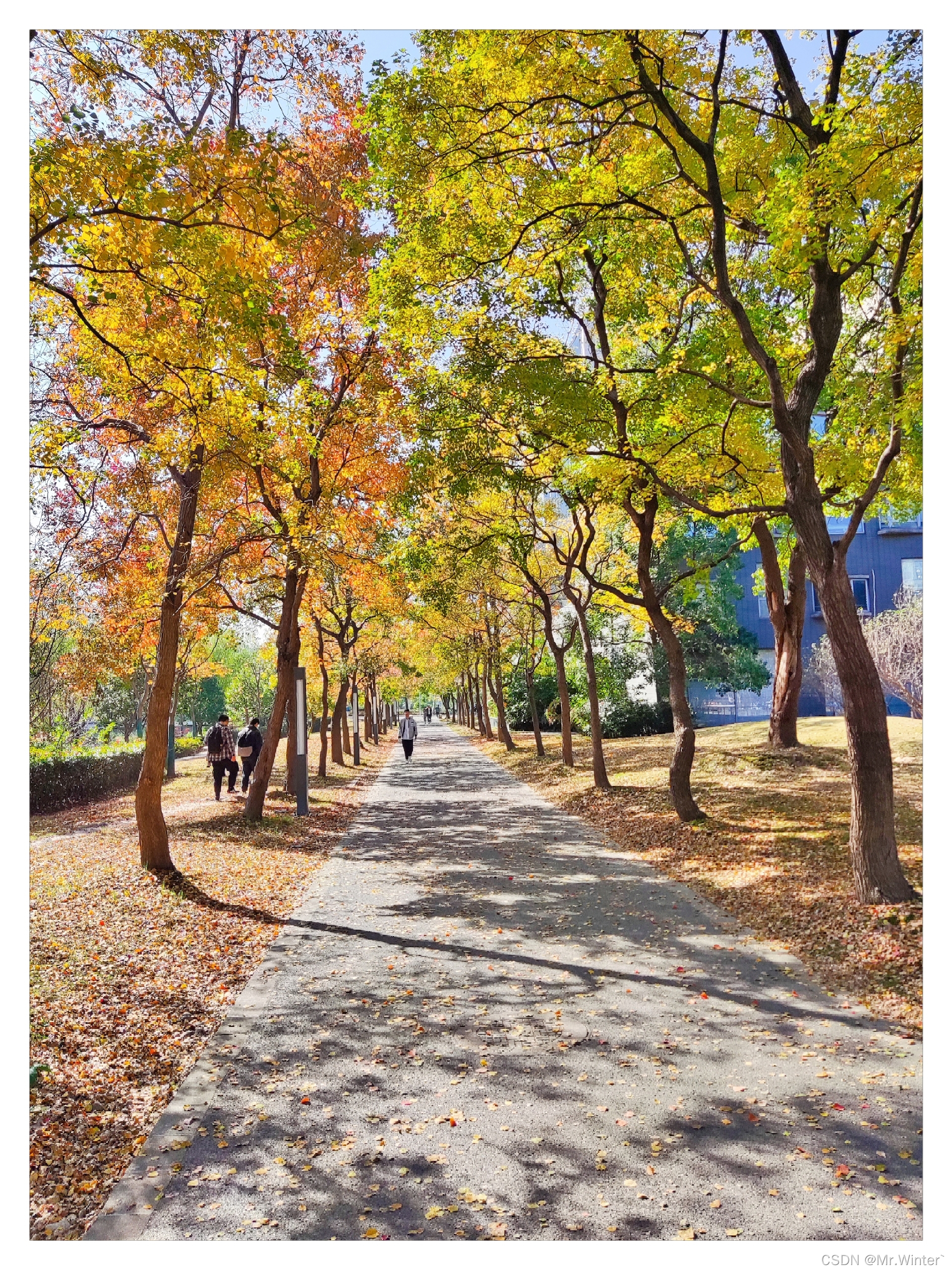 【毕业季】走一步看一步？一个自动化er对大学四年的思考