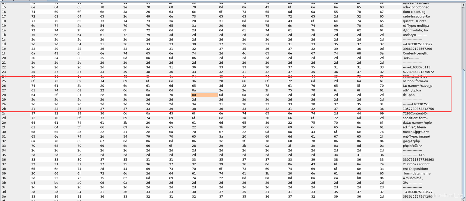 File operations of WEB penetration