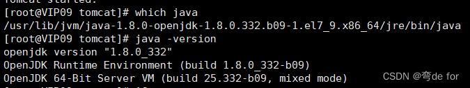 curl (7) Failed connect to localhost8080； Connection refused