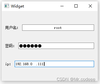 QT qlineedit details