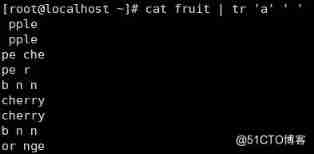 shell Regular expression of script value _ character string _19