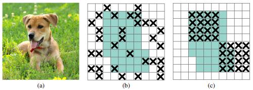 pytorch 22 8种Dropout方法的简介 及 基于Dropout用4行代码快速实现DropBlock