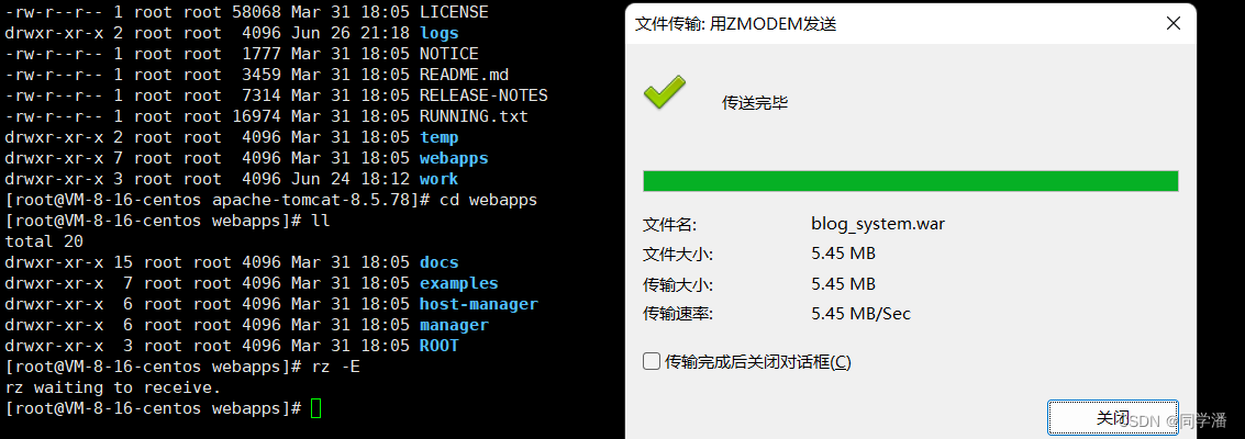 在这里插入图片描述
