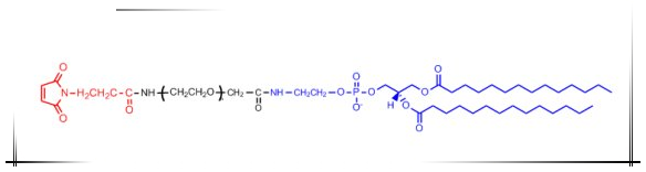DMPE-PEG-Mal,二肉豆蔻酰磷脂酰乙醇胺-聚乙二醇-马来酰亚胺简述