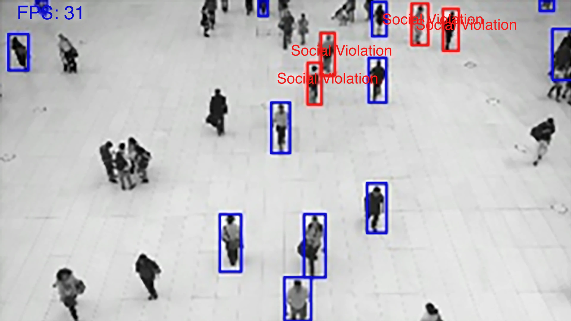 Multi-Camera Detection of Social Distancing Reference Implementation