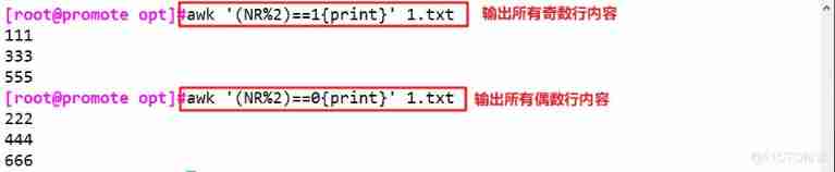 Shell Programming regular expression and text processor _ Field _54