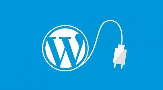 Remove the plug-in of category in WordPress link