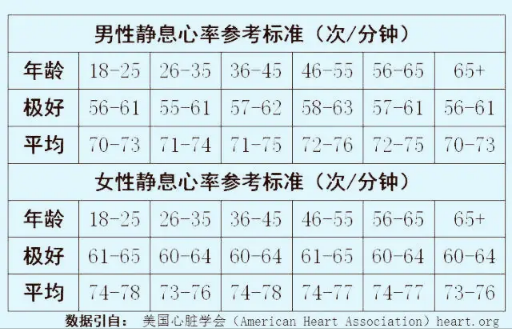 Programmer's Guide to health quenching 5: introduction to sports Basics