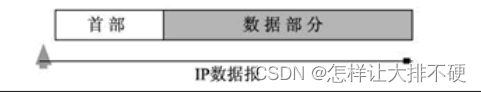 Network layer key protocol - IP protocol