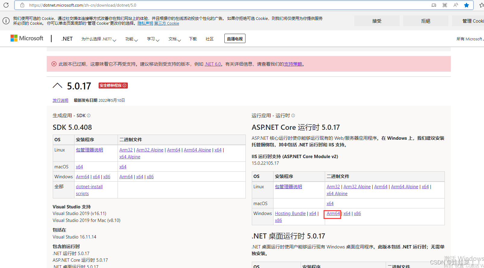 Win11 arm system configuration Net core environment variable