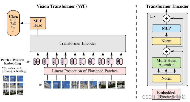 狗都能看懂的Vision Transformer的讲解和代码实现