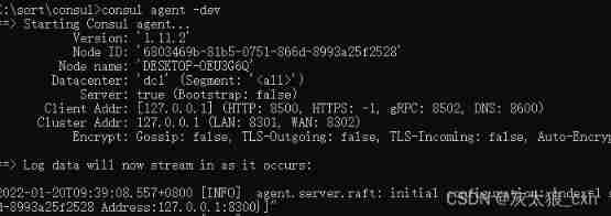 Download and installation tutorial of consumer