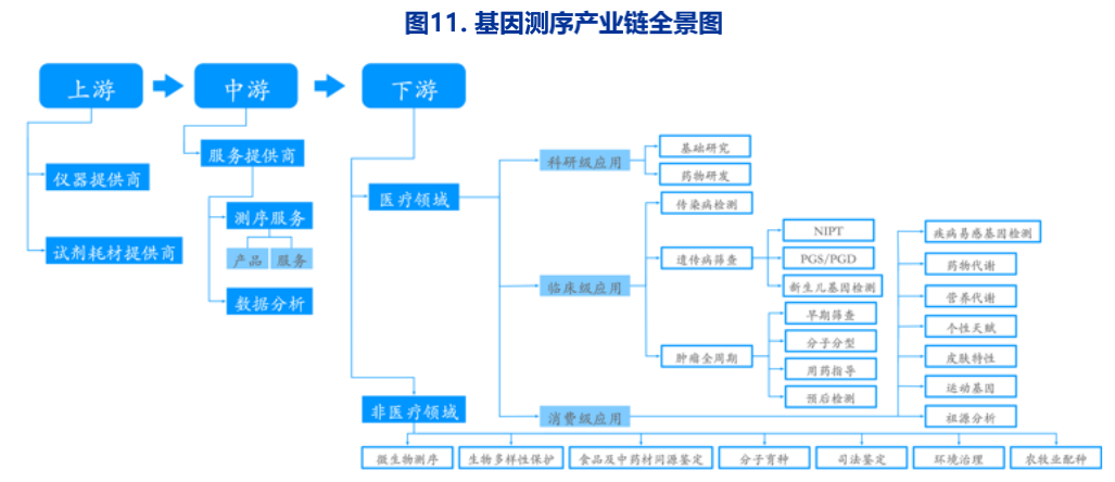 2021 Blue Book of gene industry , Shenwan Hongyuan research 
