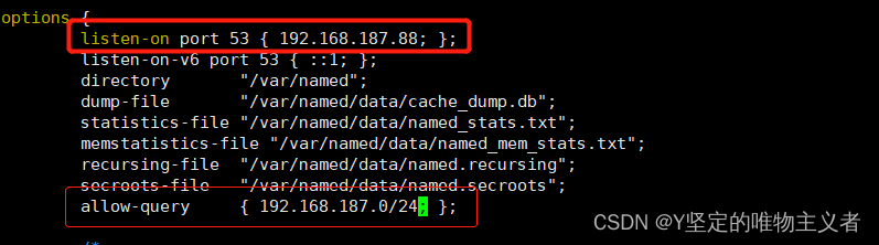 DNS domain name resolution service
