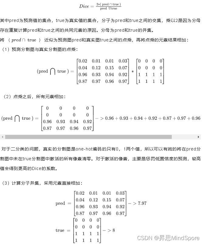 基于MindSpore高效完成图像分割，实现Dice！