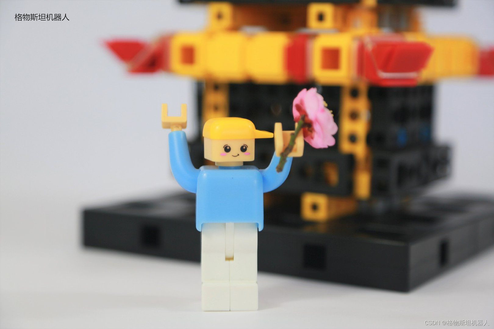 Influence of steam education on domestic college students