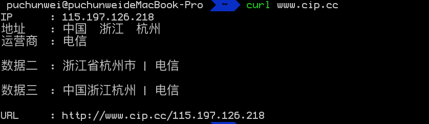 网络运维系列：网络出口IP地址查询