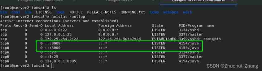 Lamp Architecture 3 -- compilation and use of PHP source code