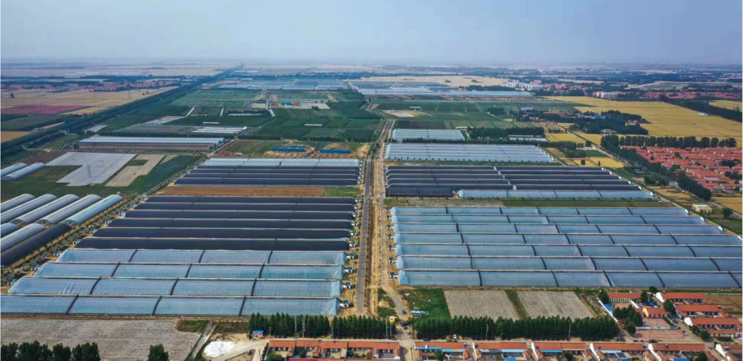 Vegetable greenhouses turned into smart factories! Baidu AI Cloud helps Shouguang, Shandong build a new benchmark for smart agriculture