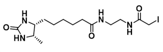 碘乙酰胺在Desthiobiotin-Iodoacetamide试剂中的作用？