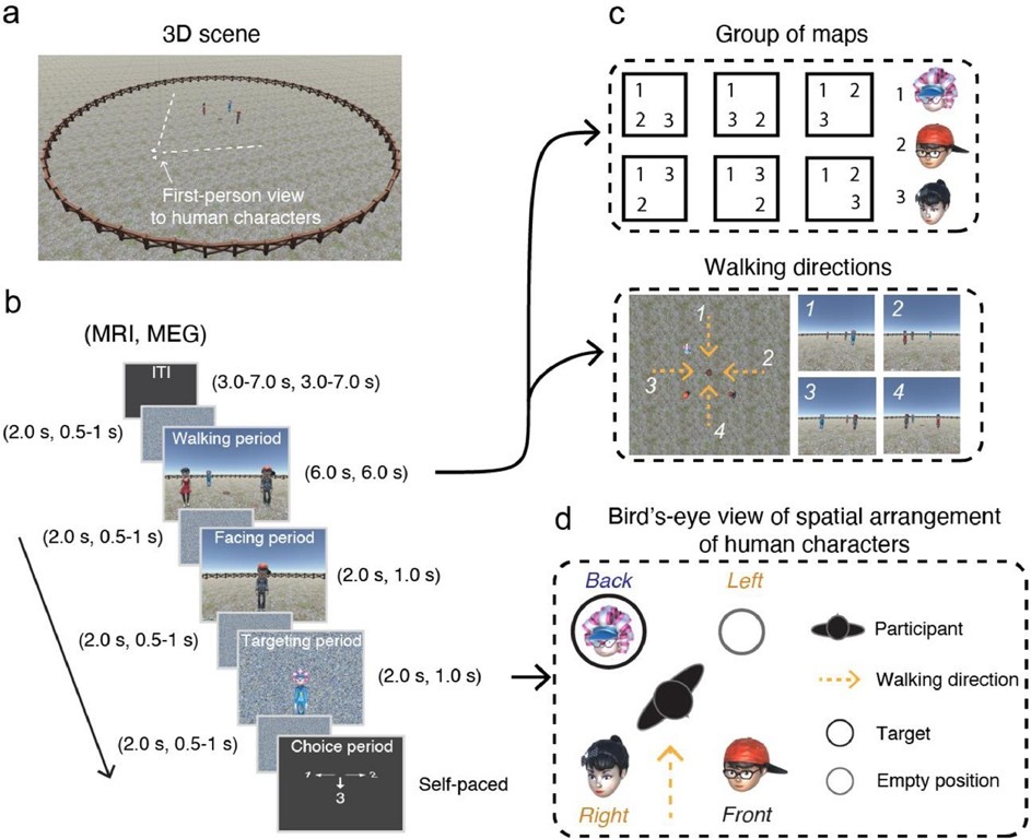 [open source data] open source data set for cross modal (MRI, Meg, eye movement) human spatial memory research based on virtual reality scenes