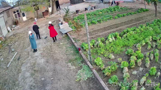 景联文科技:机器学习AI数据集产品汇总(三)