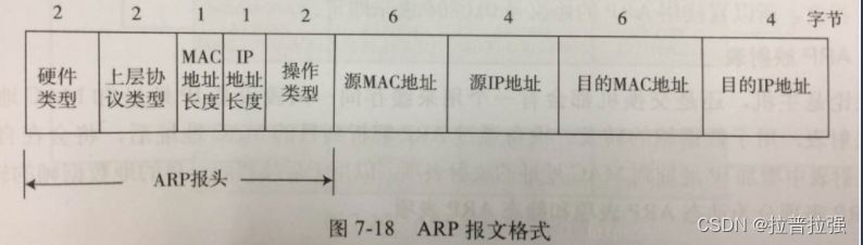 ARP message header format and request flow