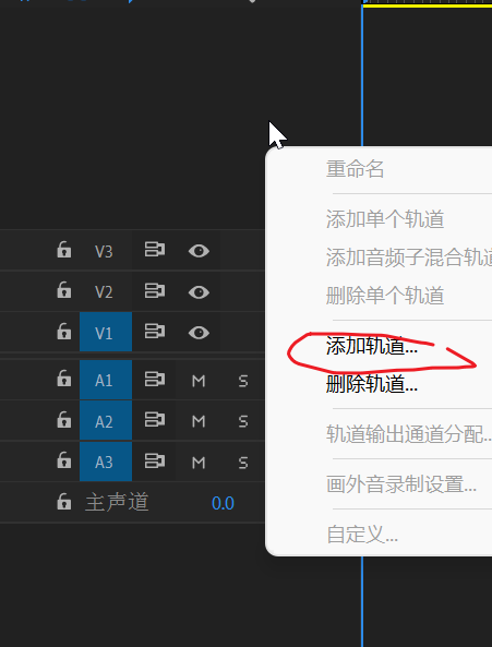 Adobe Premiere Foundation (track related) (V)