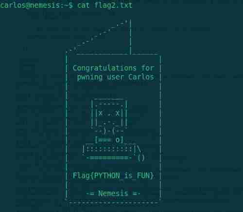 Penetration practice vulnhub range Nemesis