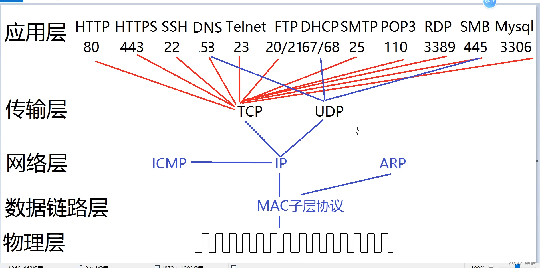 IP数据包的格式(1)