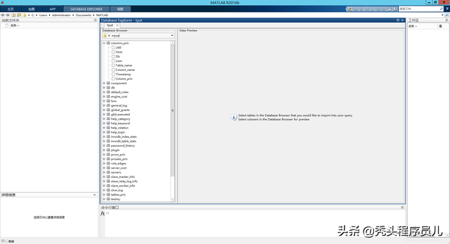 MATLAB And Mysql Database connection and data exchange ( be based on ODBC)