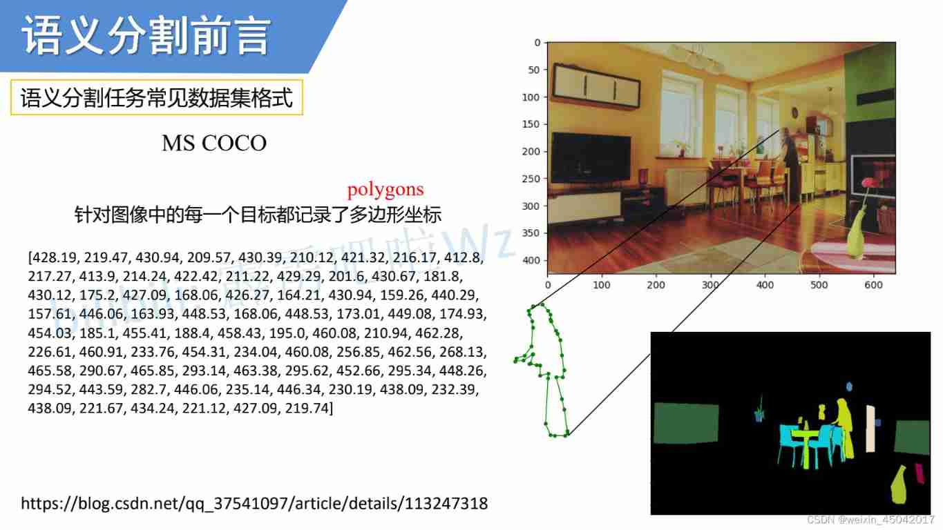 MS COCO Dataset format 