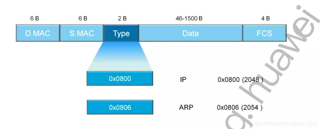 Wireshark basic tutorial Ethernet frame analysis.