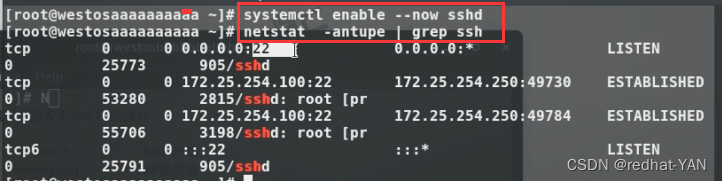  Insert picture description here 