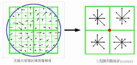 [ Failed to transfer the external chain picture , The origin station may have anti-theft chain mechanism , It is suggested to save the pictures and upload them directly (img-dex7mals-1638945850356)(./imgs/image-20211208143137508.png)]