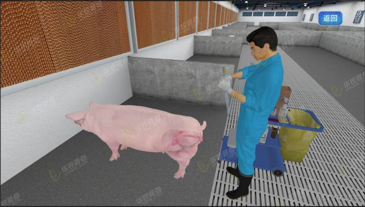 Animal breeding production virtual simulation teaching system | Sinovel interactive