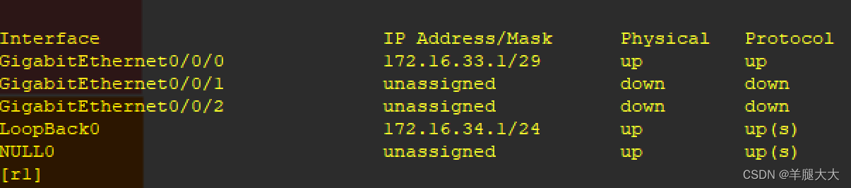 OSPF 综合实验